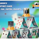 ���� �����, ��������� - ��������� 22 ������ 2017 � ������ �������� �������-�������