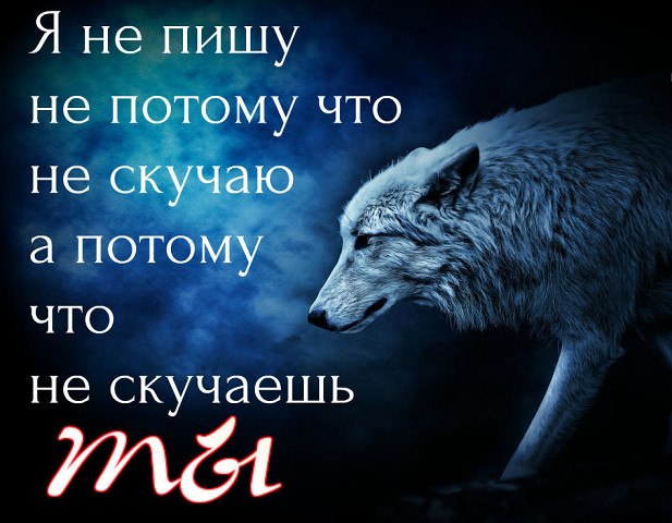 ��� ������������ � ����������� ���������� 6 ��� �����