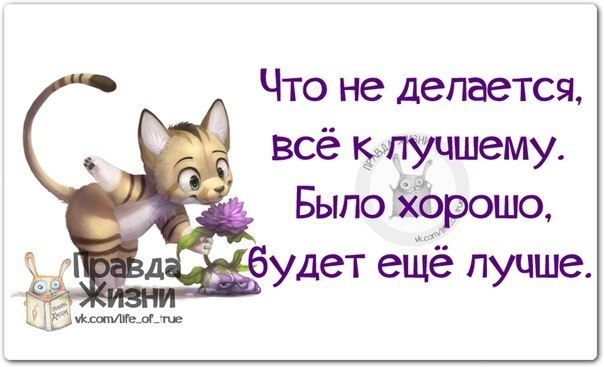   - 5  2018  03:31