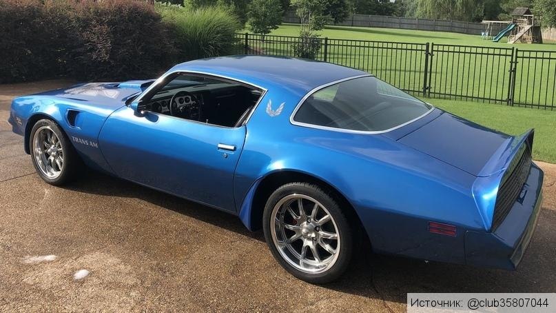 1981 Pontiac Firebird Trans AM - 2