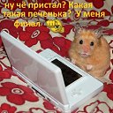 ���� ������, ������������ - ��������� 13 ������� 2018 � ������ ���� ����������