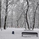 ���� �����, ������ - ��������� 5 ������� 2018 � ������ ������ ��������