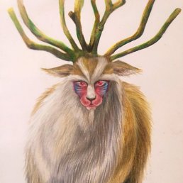 ���� ����� ���������, ������, 42 ���� - ��������� 26 ���� 2018