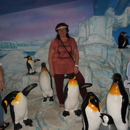 ����, ���������