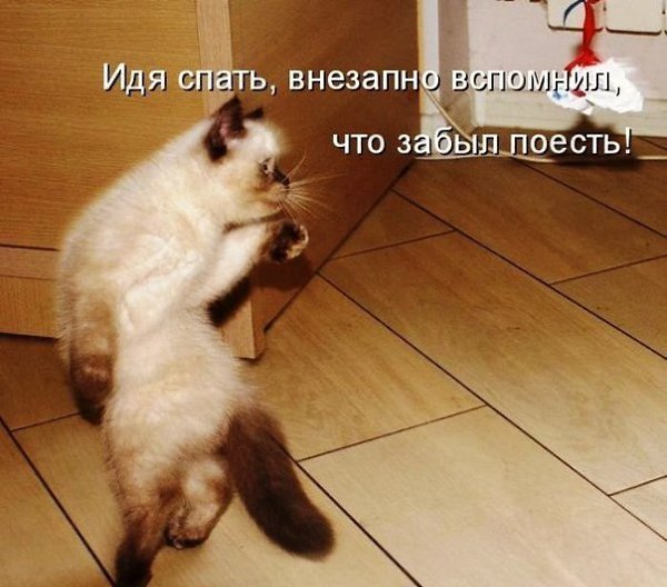    - 5  2018  03:05