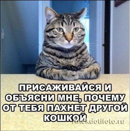 � ����� �����! - 28 ������� 2017 � 17:00
