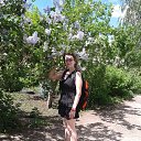 27 ��� ����� 2018 �� ������� ���� ����������