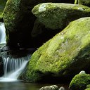 ���� ������, ������ ��������, 40 ��� - ��������� 1 ��� 2018 � ������ ���� ����������