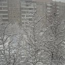  ,  -  5  2017    