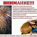 ���� ������, ������ - ��������� 10 ��� 2018 � ������ �������