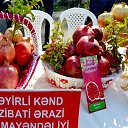  ,  -  19  2017   2018  һ