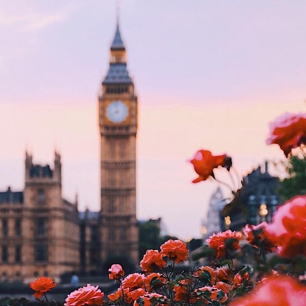 London - 8