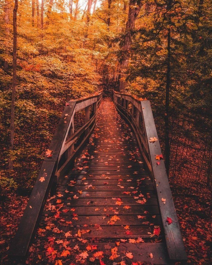 Ontario, Canada - 4