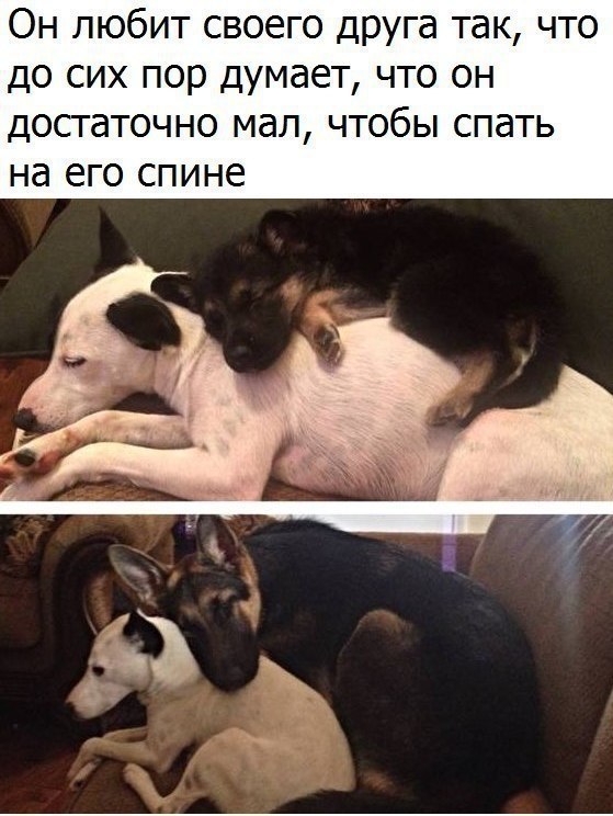  - 1  2018  03:07