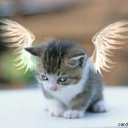 ���� ����, ������, 43 ���� - ��������� 5 ������ 2018 � ������ ���� ����������