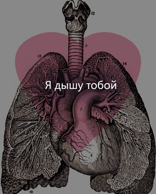 ,          . - 6