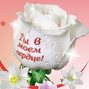  Lady!,  -  16  2017   cveti
