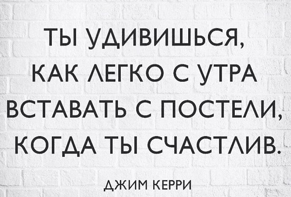 The Lady - 11  2018  03:41