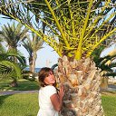 ���� ���������, �����-���������, 46 ��� - ��������� 11 ������� 2017