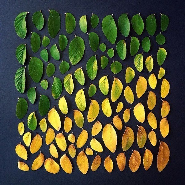 - Emily Blincoe - 4
