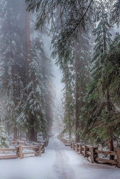  ... #just_travel # # - 8