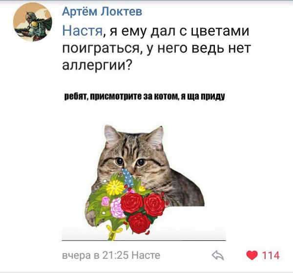  - 14  2018  02:34 - 3