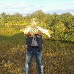 �����, ����������, 41 ���