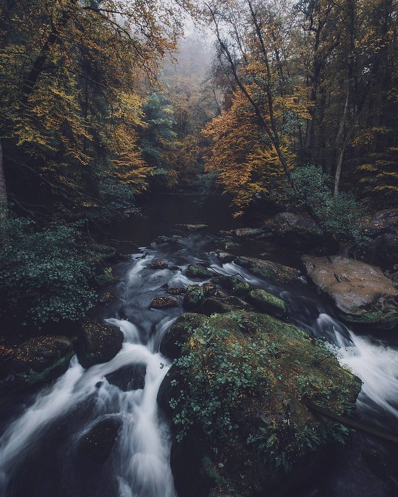 Germany - 8