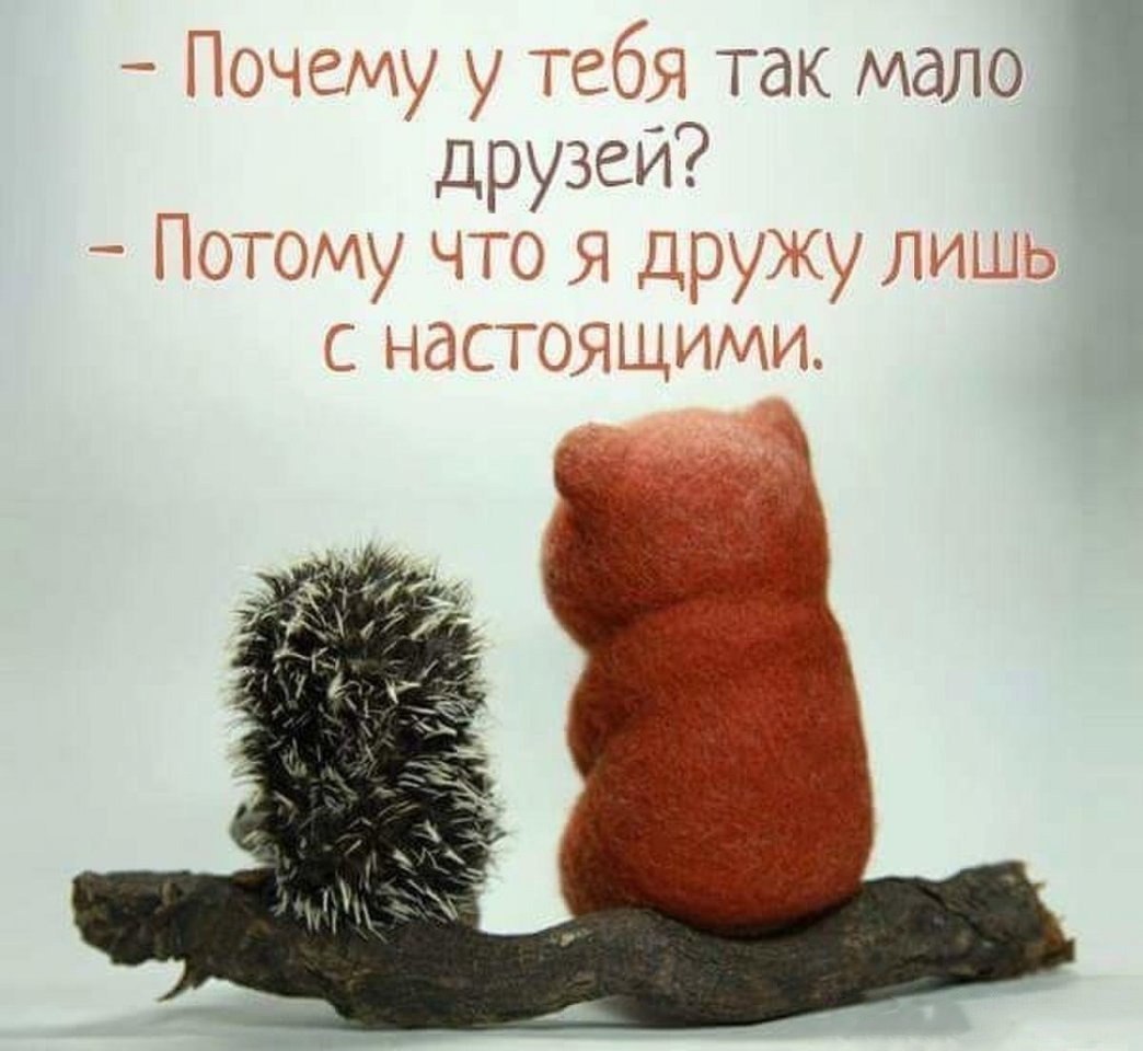  - 2  2018  03:36