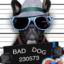 ���� ���������, ������ - ��������� 22 ������� 2017 � ������ ������ ��������