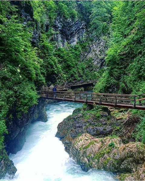 Ущелье Винтгар (Vintgar Gorge) достопримечательность в Словении. Очень интересный природный парк с ... - 7