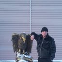 ���� ���������, ���������, 46 ��� - ��������� 3 ������ 2018 � ������ ���� ����������