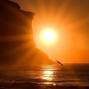 ���� �����, �����, 47 ��� - ��������� 5 ������ 2018 � ������ ���� ����������