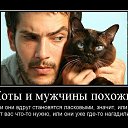 ���� ������, �����-��������� - ��������� 11 ������ 2018 � ������ ���� ����������