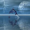 ���� ������, ����, 52 ���� - ��������� 14 ������ 2018 � ������ ���������