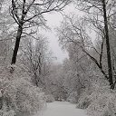 ���� �������, �����-���������, 55 ��� - ��������� 25 ����� 2018 � ������ ������ ��������