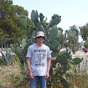 ���� �������, ������, 44 ���� - ��������� 29 ���� 2018 � ������ ���� ����������