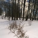 ���� ��������, �����, 62 ���� - ��������� 31 ����� 2018 � ������ �Avataria�