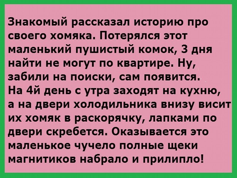 ☆ ☆ - 19  2018  02:51