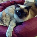 ���� �������, ��������, 55 ��� - ��������� 16 ��� 2018 � ������ ���� ����������