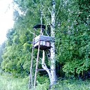 ���� �������, ������ - ��������� 28 ������� 2018 � ������ ���� ����