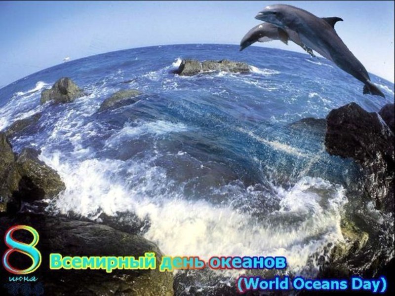 8            (World Oceans ...