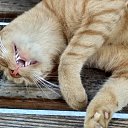 ��� �������� ��������� ���� �� ������� ���� ����������