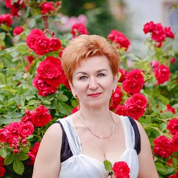  , , 105  -  14  2018