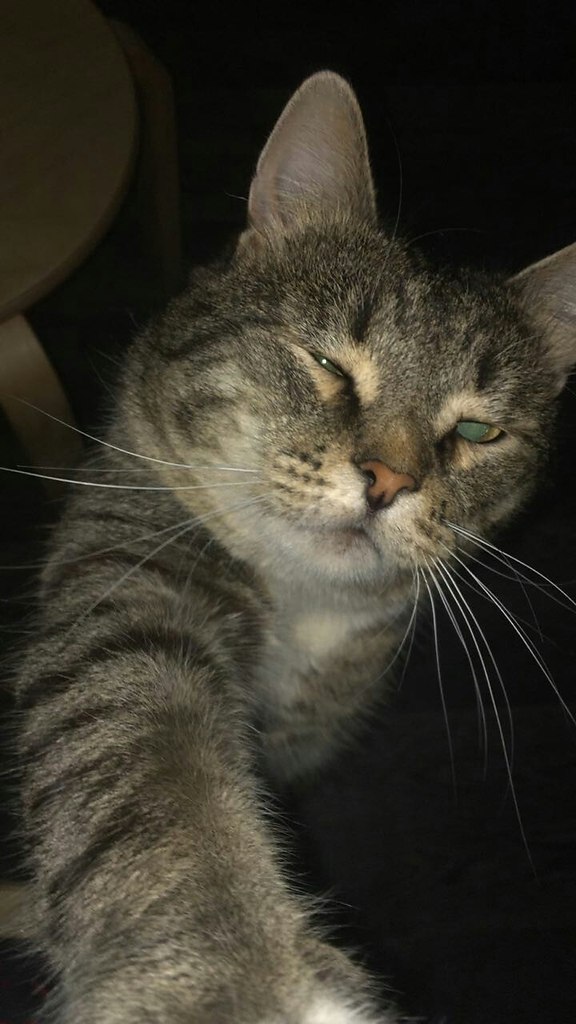 #_.  .     ,    .  ... - 3