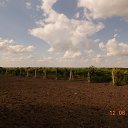 ���� ������, ������������, 47 ��� - ��������� 20 ����� 2018 � ������ ���� ����������