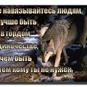 ���� �������, ������, 51 ��� - ��������� 5 ������� 2017 � ������ ������ ��������