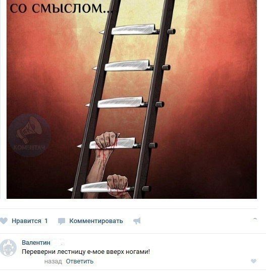 - 24  2017  03:51