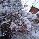 ���� �������, �������� - ��������� 19 ������� 2018 � ������ ��������, ������� � �����.�