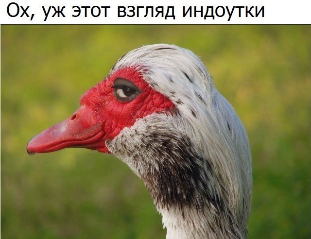 )))))))))